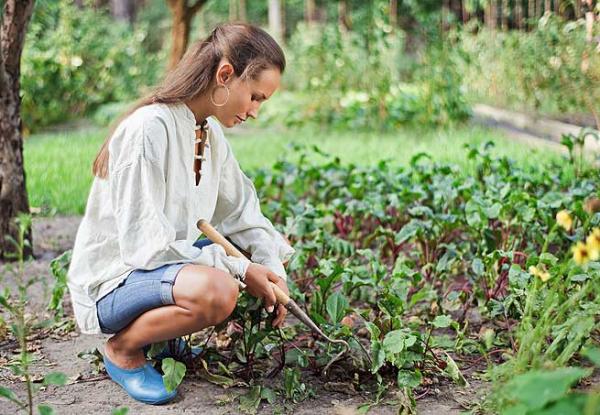 A Importância da Compostagem