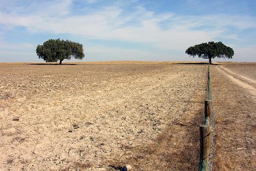 Castro Verde – o dourado da planície alentejana