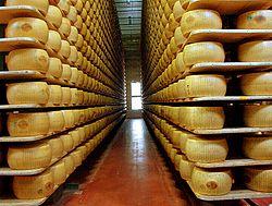 Cultura dos queijos