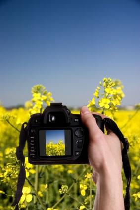 Dicas para tirar fotografias