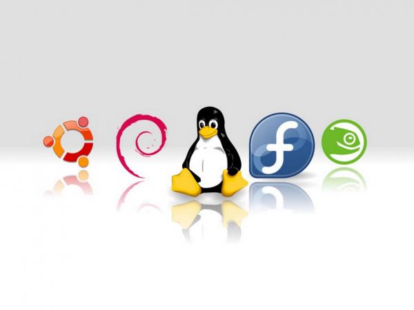 Linux, sistemas operativos eficientes