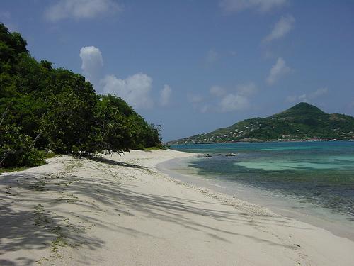 Nade com cavalos, observe baleias e tartarugas ou aprecie o calipso na ilha de Dominica