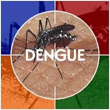 O Que É A Dengue?