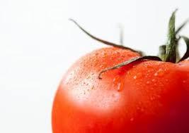 Os benefícios do tomate