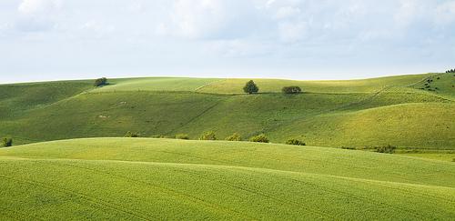 Paisagismo e jardinagem