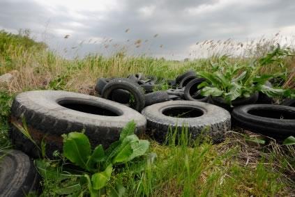 Poluição ambiental