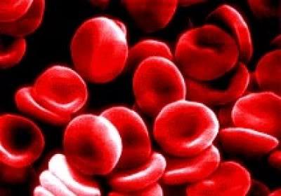 Saiba como prevenir e curar a anemia