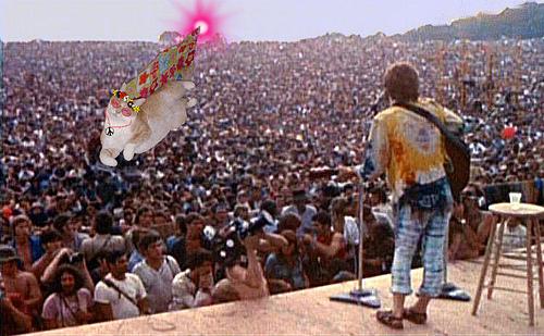 Woodstock – Uma memória Inesquecível