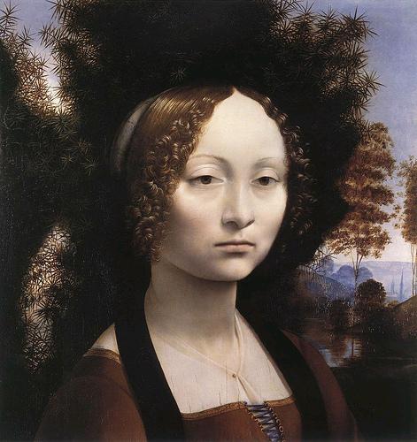 A beleza de Da Vinci
