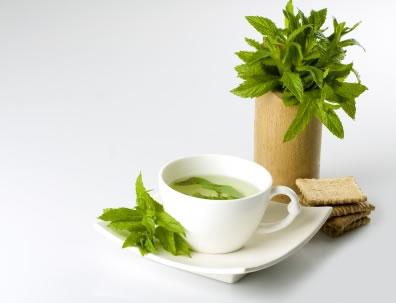 Os benefícios do chá verde