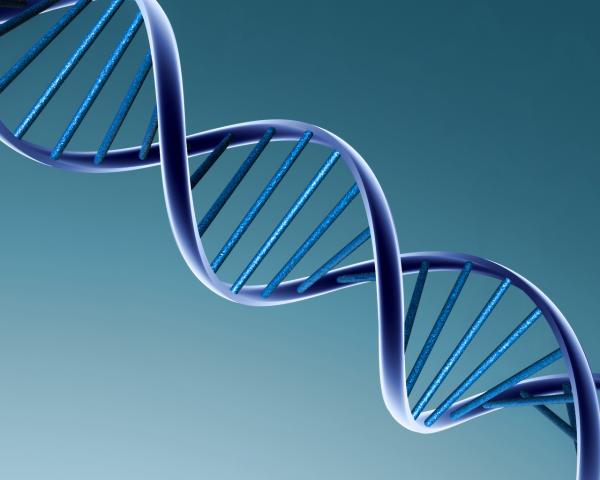 ADN - Ácido Desoxirribonucleico