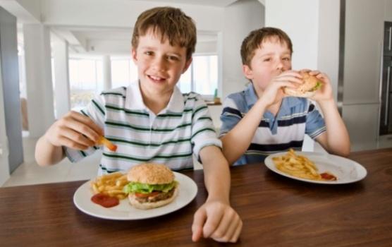 Alimentação Inadequada E Sedentarismo Na Infância