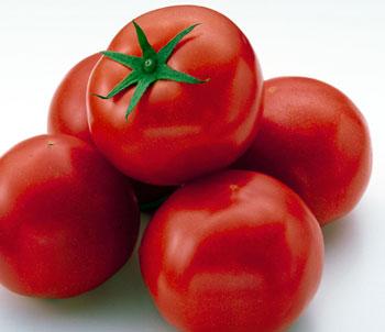 Como Fertilizar o Tomate
