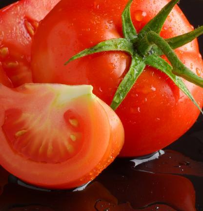 Dicas - Cultivo de Tomate