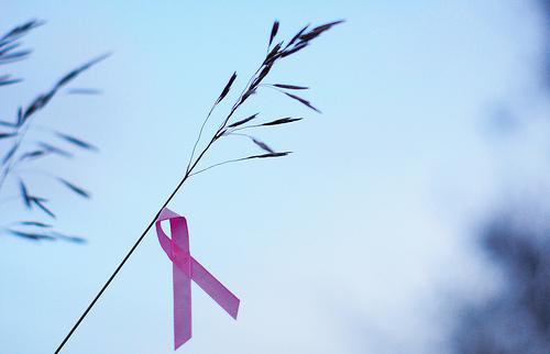 Fatores de risco do cancro da mama