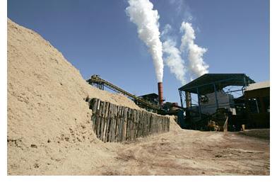 O potencial energético da biomassa no Brasil