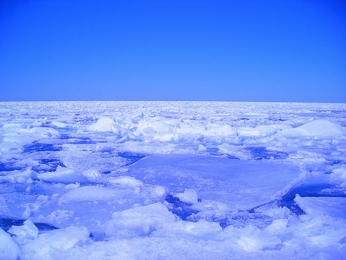 Polo Norte deve virar mar em dez anos