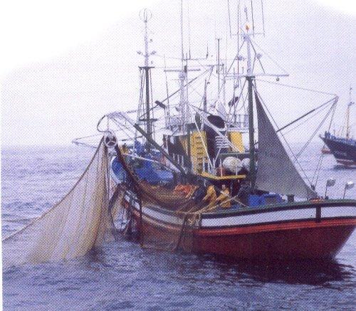 Uma Nova Direção para Pesca Europeia